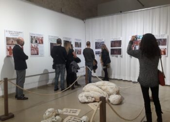 Primicia mundial en la exposición de la Dra. María Gómez en el MAOVA de Ontinyent
